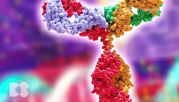 Imunoglobulinele G înseamnă toată memoria imunologică a fiecărui om. Ce-i rămâne de făcut copilului