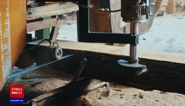 Autoritățile române vor să limiteze exportul de lemn, pentru a sprijini industria mobilei din țară