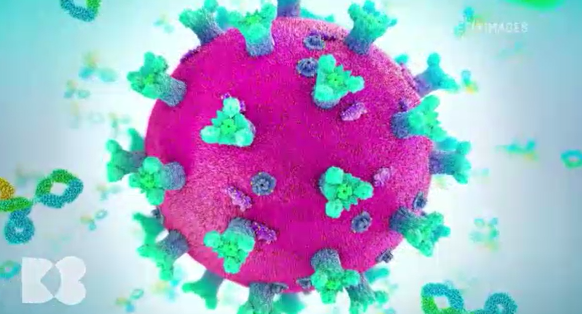 Imunoglobulinele G înseamnă toată memoria imunologică a fiecărui om. Ce-i rămâne de făcut copilului