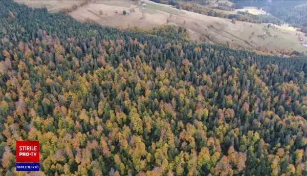 Motivul pentru care o comună din Cluj se cere în afara Parcului Natural Apuseni. Ce s-ar urmări, de fapt, în zona protejată