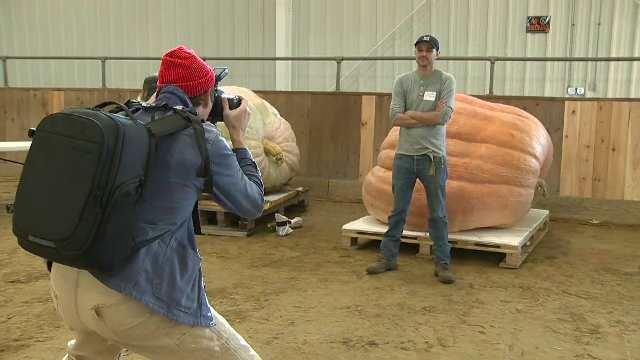 Cel mai mare dovleac de pe continentul nord-american. Uriașul bostan cântărește peste 1.124 de kilograme