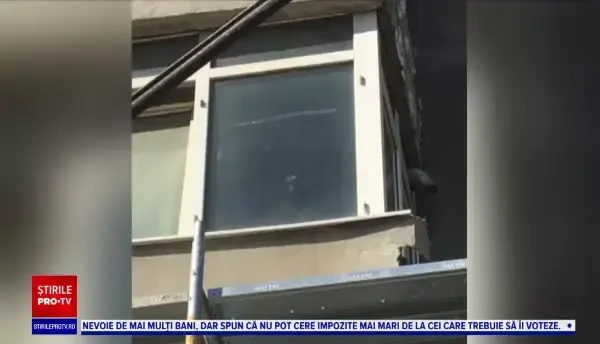 Focar de infecție într-un apartament din Găești. Un bărbat crește pisici, câini, găini şi porumbei. „E un miros a hoit”