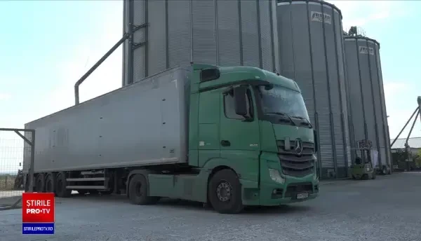 Câți bani vor primi de la stat fermierii ale căror culturi au fost afectate de secetă