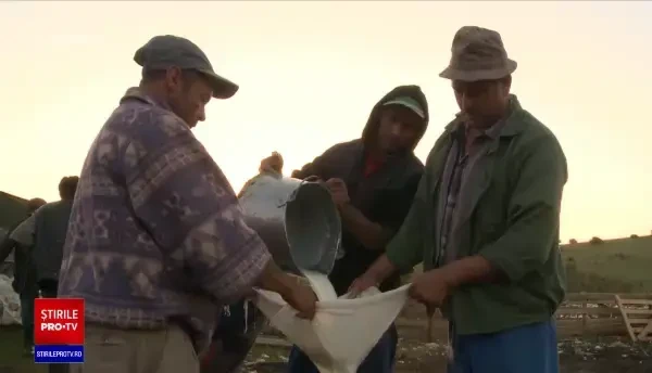 La ce preț este cumpărat laptele de la fermier și cât ajunge să coste în magazine. Daea face apel la „solidaritate economică”
