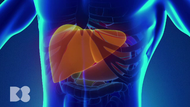 Nu funcționeaza tiroida, nu mai dă randament nici ficatul. Ce legătură este între suferința tiroidei și ficat