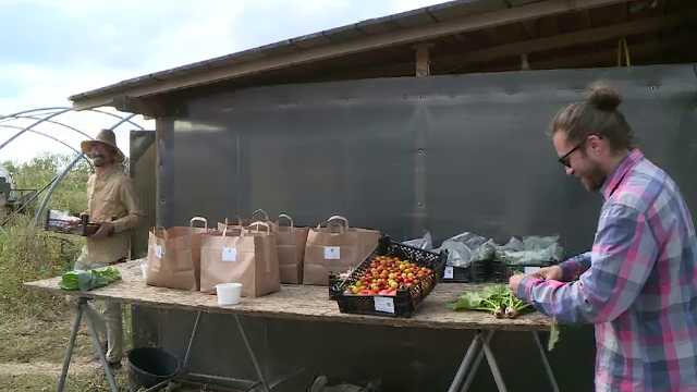 Fermele de familie sunt tot mai apreciate în Europa. România va primi cinci miliarde de euro pentru susținerea lor