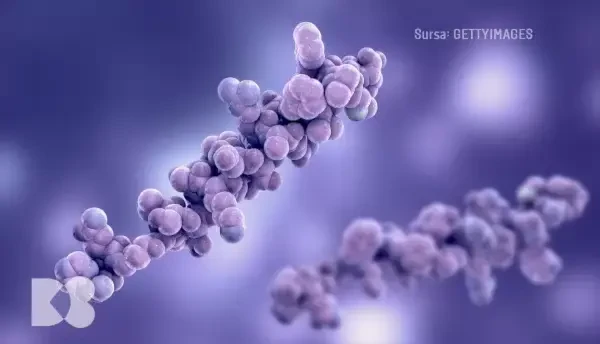 Legătura dintre insulină și îngrășare. De ce este importantă mișcarea alăturată unei diete