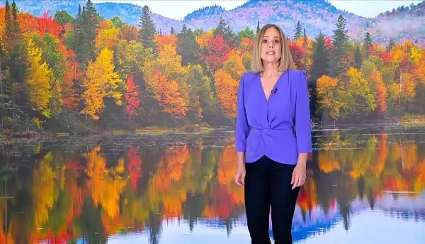 Transaminazele, substanțele din celulele ficatului. Cum apare inflamația și ce trebuie să facem. Explicațiile medicilor