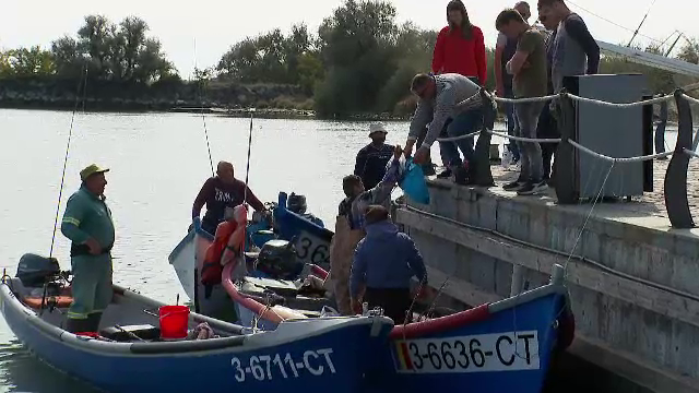 Pescarii din Mangalia își vând marfa direct din bărci. Prețul este și cu 35% mai mic decât în magazine
