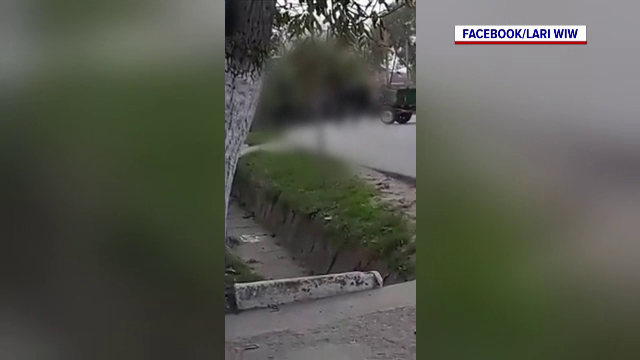 Un bărbat din Olt și-a bătut cu sălbăticie calul în mijlocul străzii. Poliția l-a arestat pentru 30 de zile