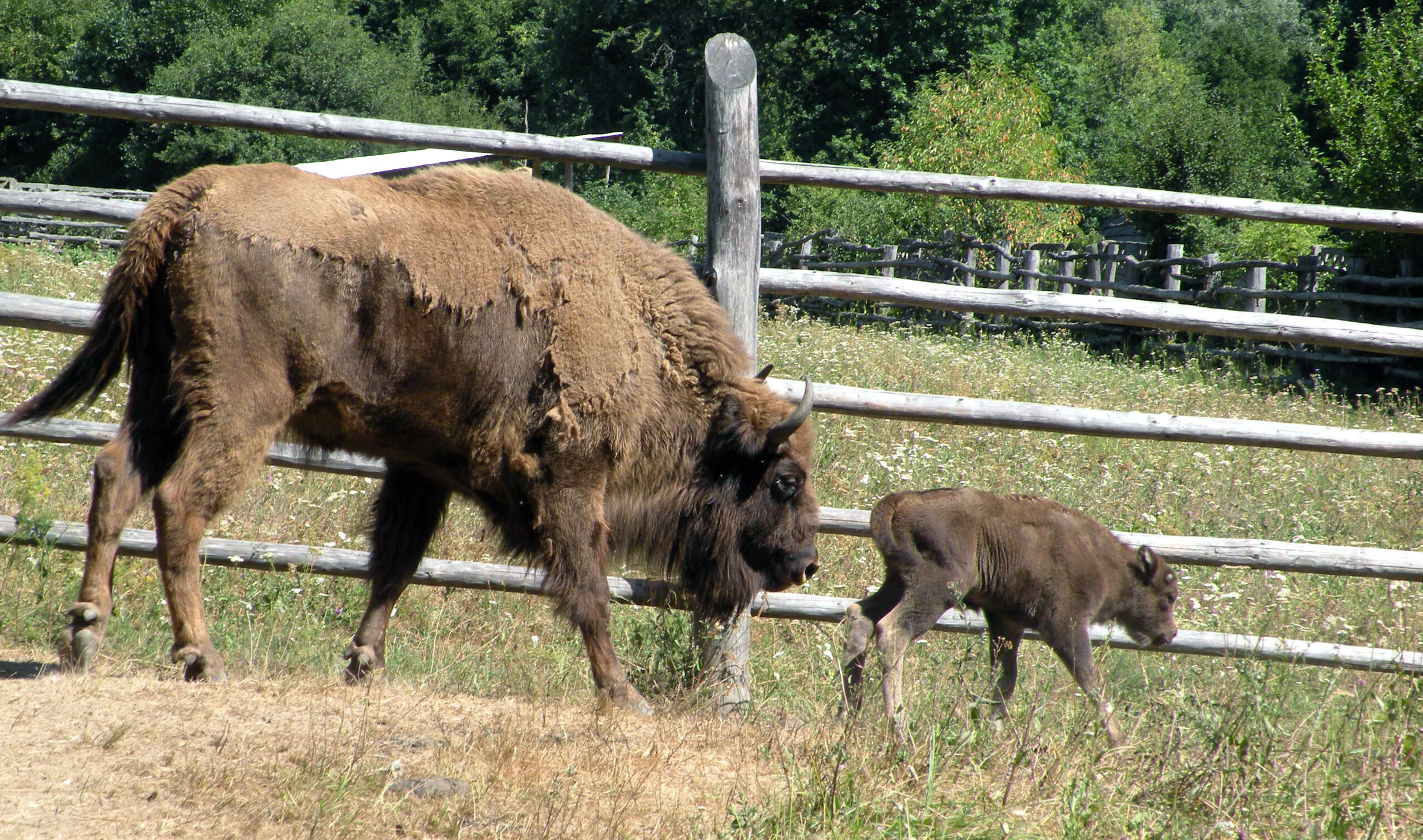 Obiective turistice din Rom&acirc;nia - 37