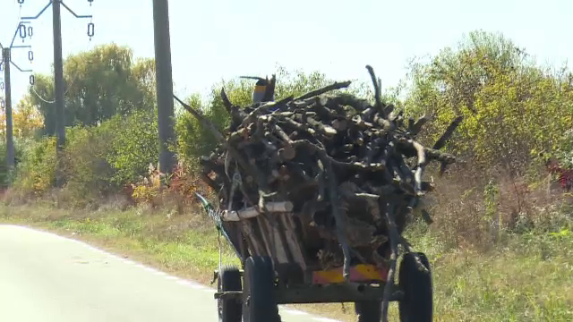 Scandal între mai mulți localnici din Dâmbovița, pornit de la o căruță cu lemne. Poliția a deschis dosar pentru tâlhărie