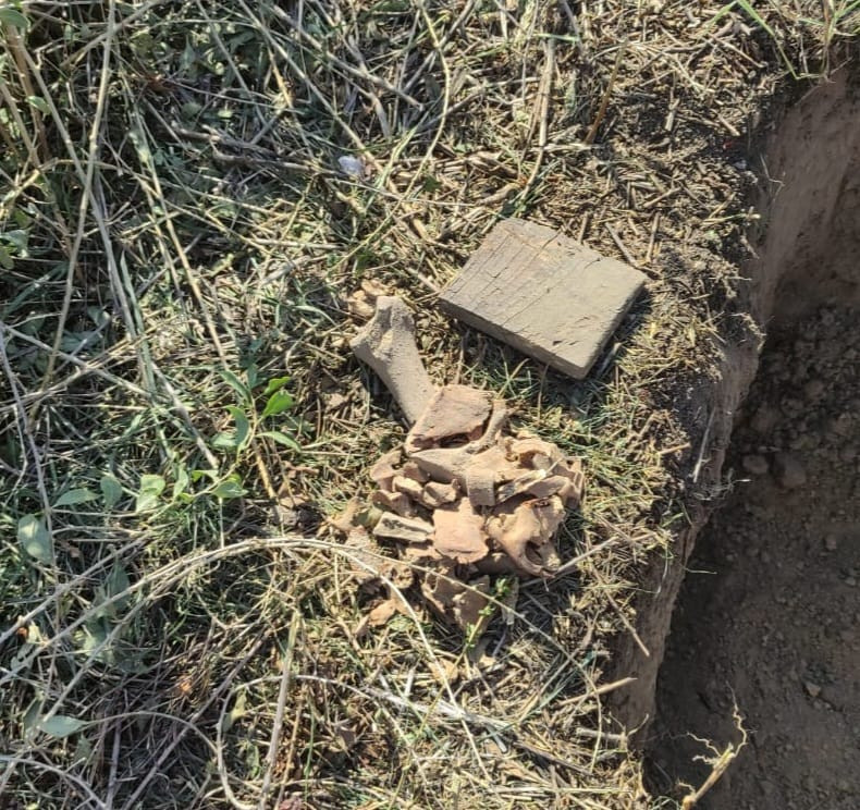 Oase umane descoperite pe Faleza din Galați de către muncitorii de la salubritate