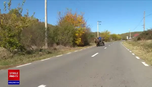 Scandal între mai mulți localnici din Dâmbovița, pornit de la o căruță de lemne. Poliția a deschis dosar pentru tâlhărie