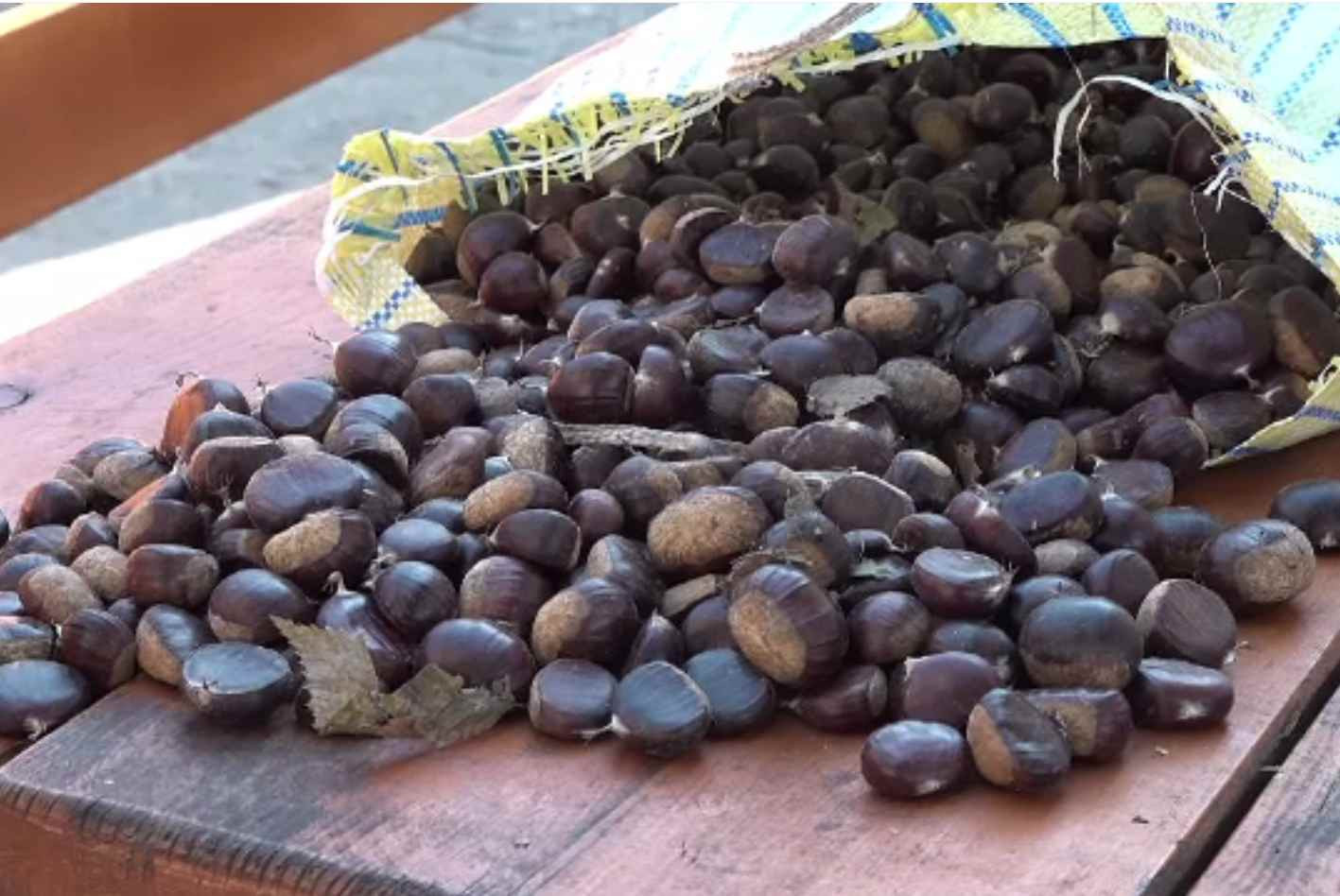 Prețul castanelor a explodat. Sunt de două ori mai scumpe decât în 2021