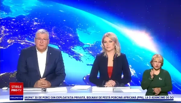 Culturi de canabis, descoperite în mai multe județe din țară. Erau plantate în solarii sau în ghivece de flori