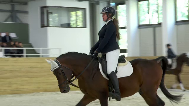 Facultatea din România care are o bază de cai de zeci de milioane de lei. Studentă: „Mi se pare extraordinar de util”