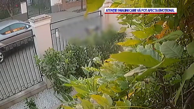 Fetiță de 12 ani, lovită de o mașină în Dumbrăvița, Timiș. A trecut strada printr-un loc nepermis