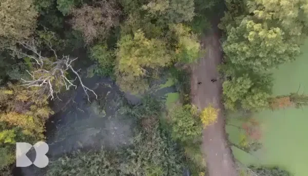 Cum este influențat colesterolul de fumul de țigară. Afecțiunile pe care le poate provoca