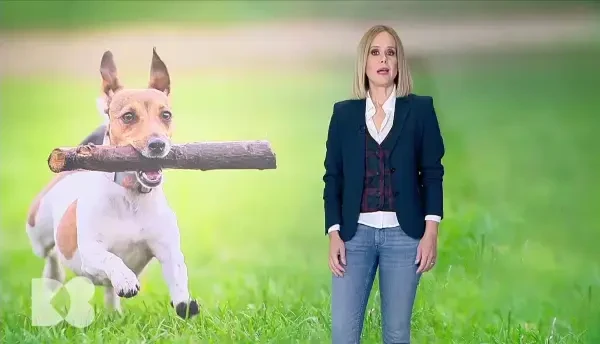 De ce nu avem nevoie de curele de detoxifiere. Explicațiile sunt exact în organismul uman