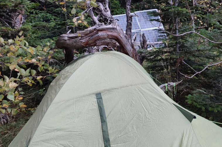 Povestea IT-istului rus care se ascunde de o lună de mobilizare în pădure. Are un cort separat pentru muncă