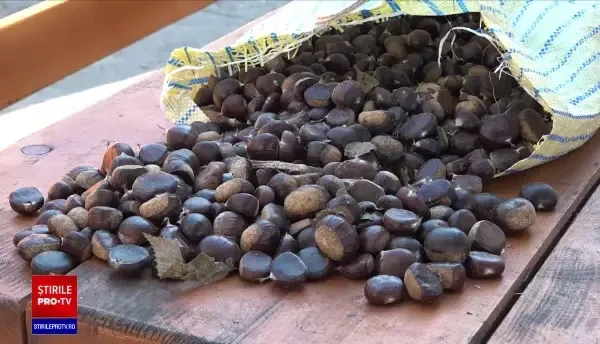 Prețul castanelor a explodat. Sunt de două ori mai scumpe decât în 2021