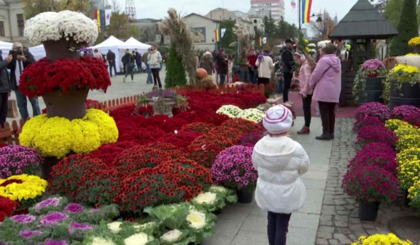 Festivalul florilor la Iași. Se găsesc de la bulbi până la plante criogenate