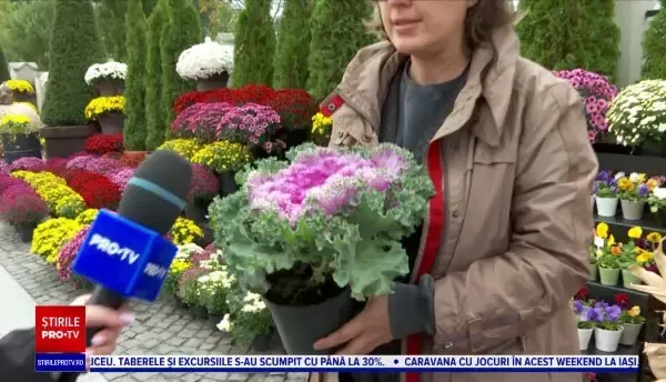 Festivalul florilor la Iași. Se găsesc de la bulbi până la plante criogenate