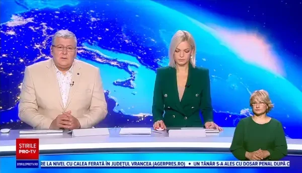 Ursul lovit de o mașină pe DN13, în județul Brașov, este în stare stabilă. Ce au descoperit medicii