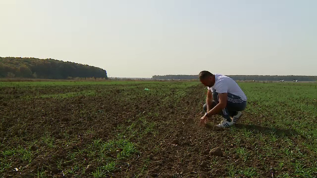 Canicula de toamnă a adâncit seceta în România. „Lipsa de apă e din ce în ce mai pregnantă”