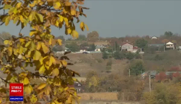 Cum a avut loc tragedia din Vrancea, unde un copil s-a strangulat cu cablul de telefon. Ce făceau părinții în acel moment