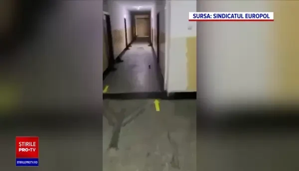 Studenții Academiei de Poliție, cazați în condiții insalubre. Sindicatul Europol: „De veghe cu șobolanii” | VIDEO