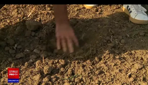 Canicula de toamnă a adâncit seceta în România. Expert: „Este o anomalie, nu este o normalitate”