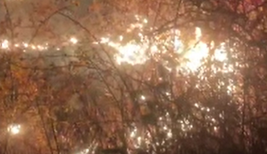 A fost găsită a şaptea victimă, un copil, în Ferma Dacilor. Salvatorii spun că disting cu greu rămășițele umane de obiecte