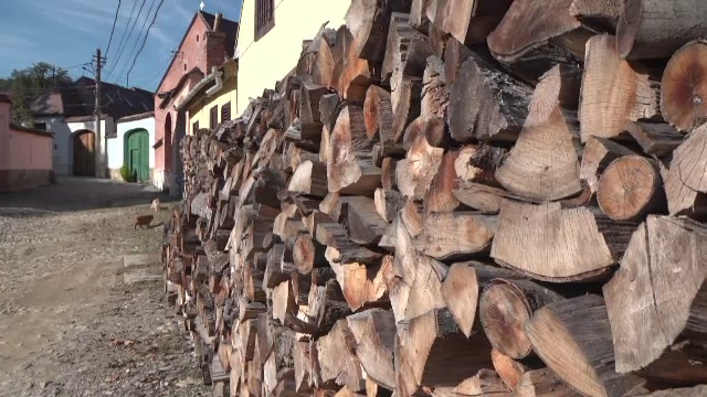 Parlamentarii care trebuie să rezolve criza lemnului de foc au început cu o măsură „hotărâtă”: o amânare a discuțiilor