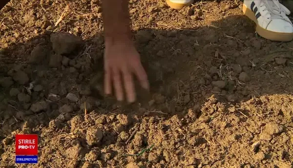 Canicula de toamnă a adâncit seceta în România. „Lipsa de apă e din ce în ce mai pregnantă”