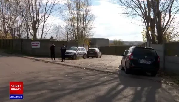 Pesta porcină lovește întreaga țară. Boala a condus la restricții pentru circulația persoanelor