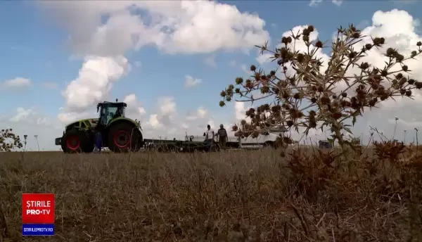 Fondurile pentru fermierii sărăciți de secetă s-au epuizat. Măsura la care Ministerul Agriculturii vrea să apeleze