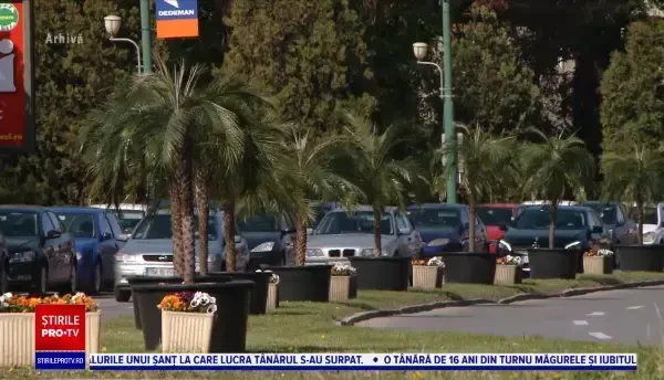 Timișoara nu e mai e „Palmișoara”. Noua administrație a considerat că palmierii nu se potrivesc cu specificul orașului
