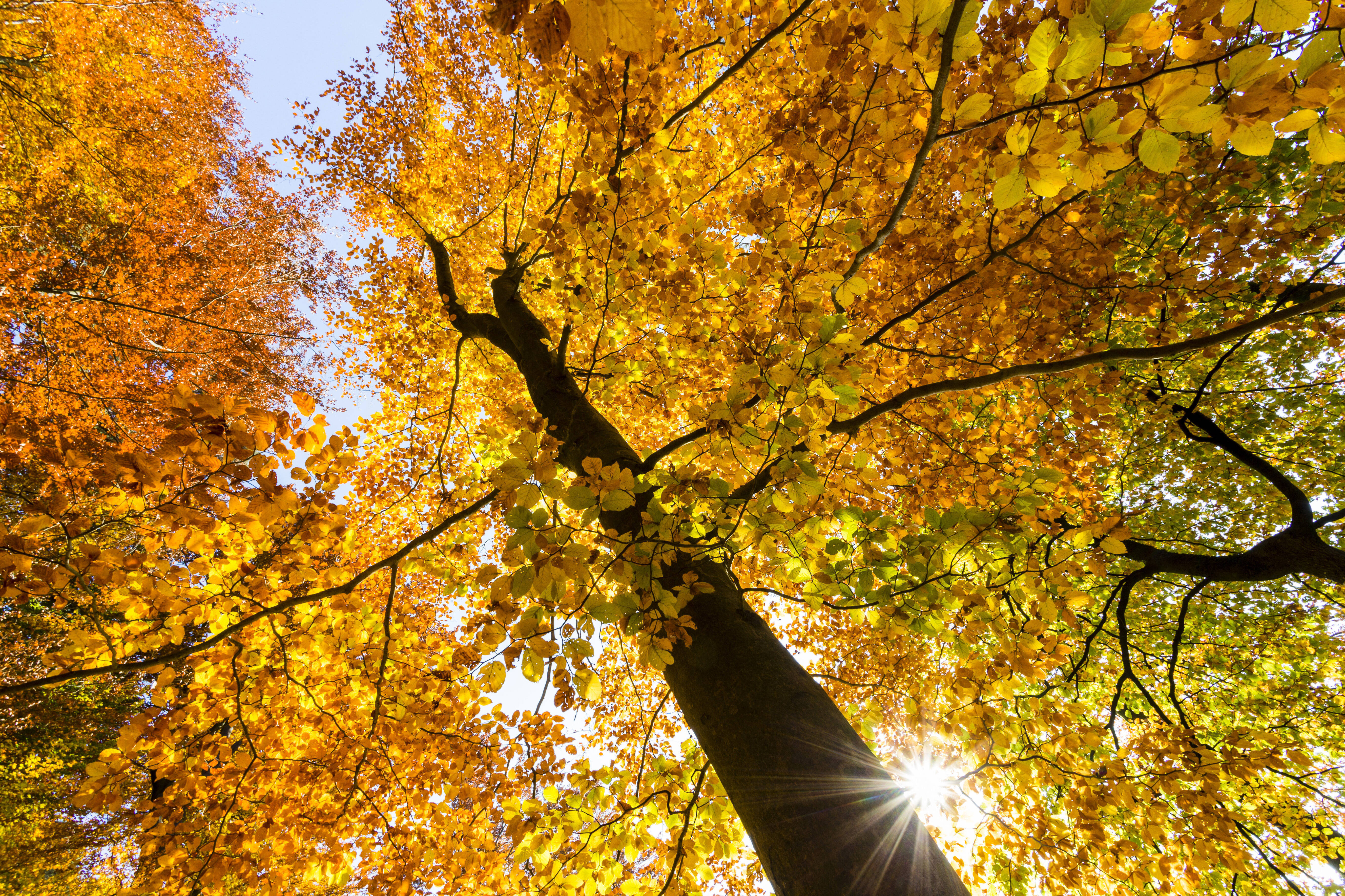 Vremea azi, 1 septembrie. Vremea frumoasă cuprinde toată țara și temperaturile ajung la valori agreabile