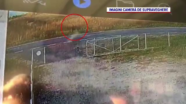 Trupul unui bătrân de 81 de ani a fost găsit pe marginea Drumului Național 7. Șoferul unei mașini l-a lovit apoi a fugit