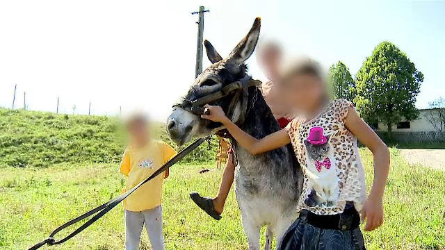 Ce s-a întâmplat cu tatăl din Suceava care și-a exploatat cei șase copii. Îi bătea de fiecare dată când nu munceau