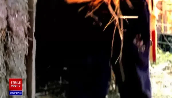 Ce s-a întâmplat cu tatăl din Suceava care și-a exploatat cei șase copii. Îi bătea de fiecare dată când nu munceau