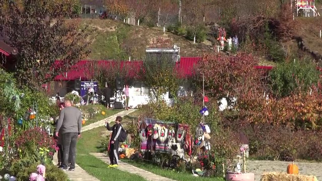 Festivalul Berbecului la Bacău. Localnicii încearcă să pună plaiurile natale pe harta turismului românesc