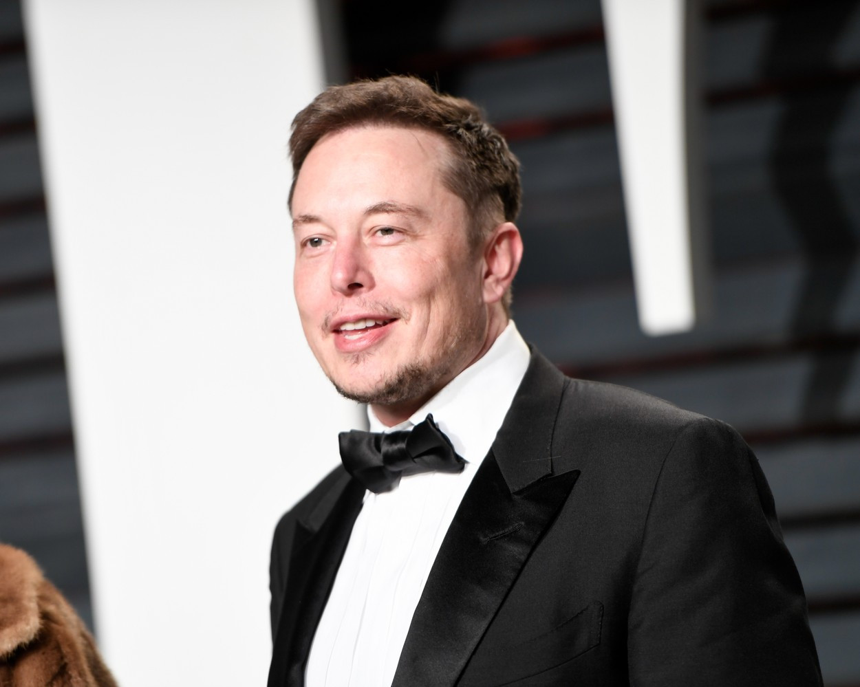 Semnul care ar confirma prezența miliardarului Elon Musk în România. Ce a apărut pe un teren privat din Bran