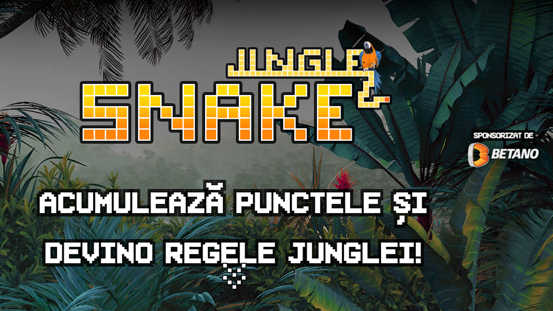 Ai fost vreodată în junglă? Joacă Jungle Snake și câștigă premii săptămânale!
