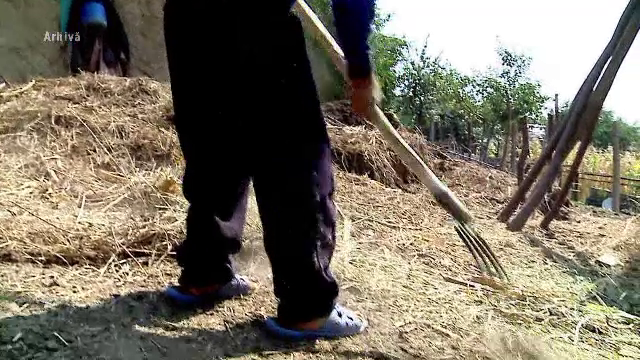 Răsturnare de situație în cazul tatălui din Suceava care și-a exploatat copiii. Decizia instanței