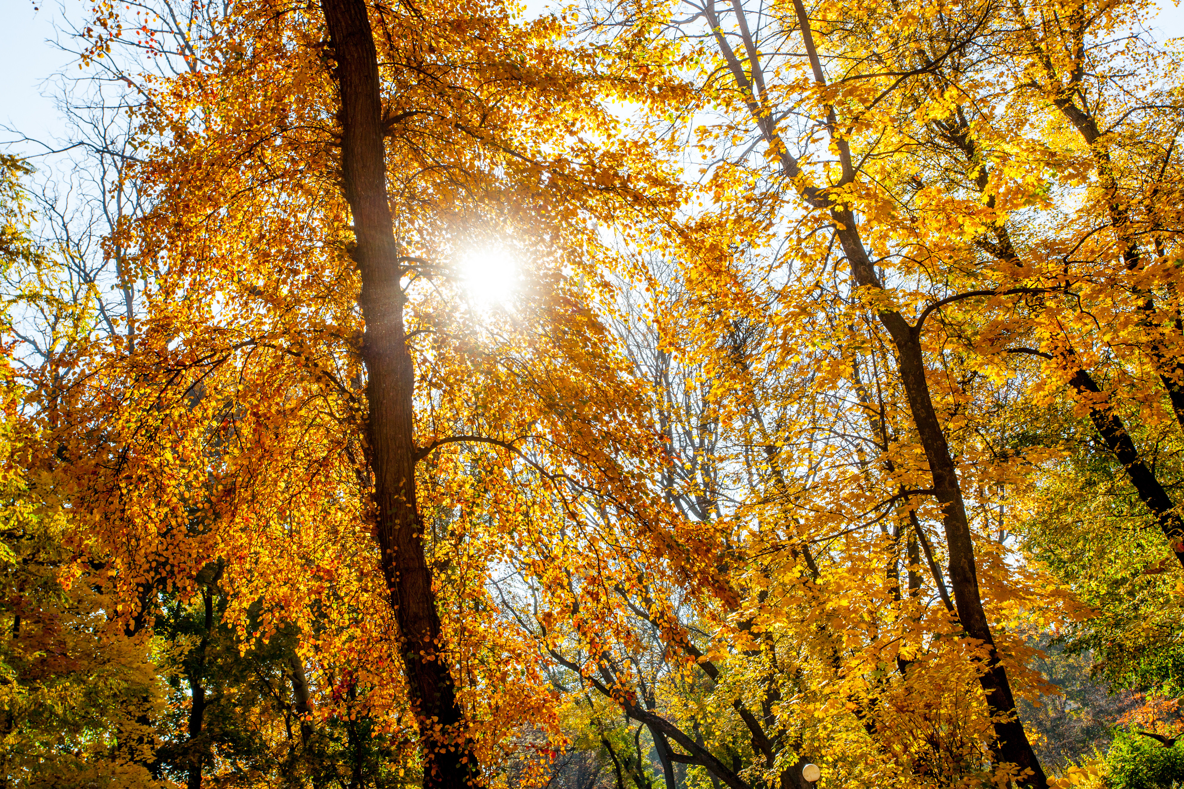 Vremea azi, 4 noiembrie. Prognoza meteo pentru București și restul țării