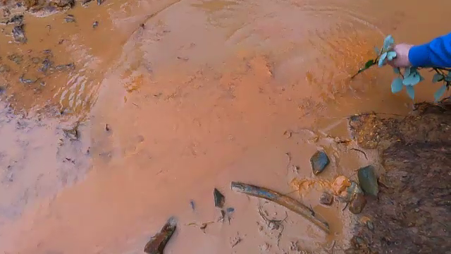 Otrava din ape, carne și lapte care cauzează probleme de sănătate. Cum tratează autoritățile din România problema