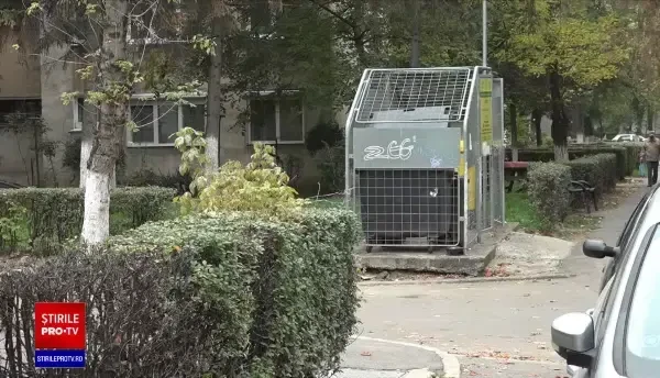 Piața animalelor exotice scapă de sub control. Garda de mediu s-a sesizat după ce doi pitoni au fost abandonați în Oradea